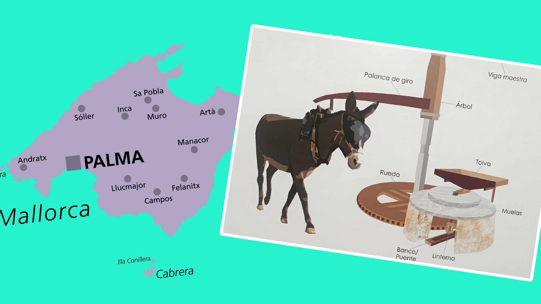 Mallorca quiere recuperar sus legendarios molinos de sangre