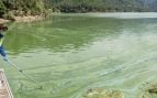 cianobacterias en los embalses