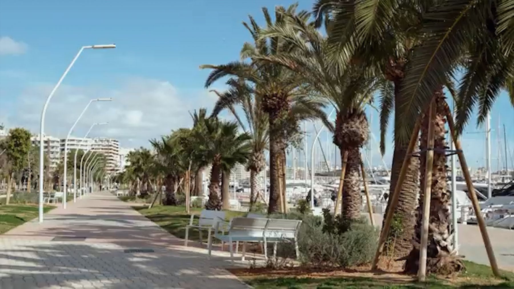 Campaña empresarial para recuperar la decaída vida social del Paseo Marítimo de Palma
