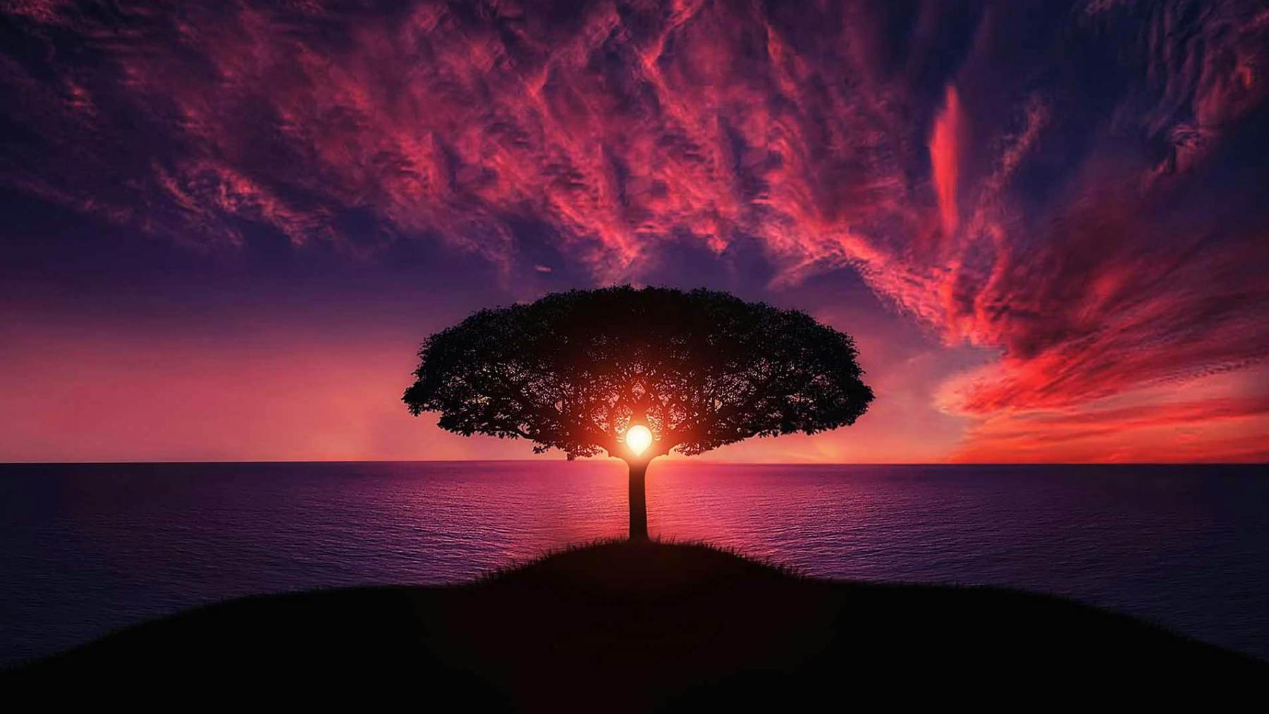 El Congreso Forestal Mundial declaró el 28 de junio como Día Mundial del Árbol.