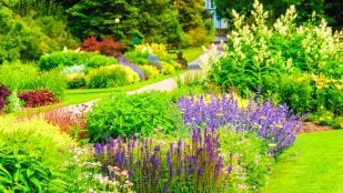 Jardín en Barcelona