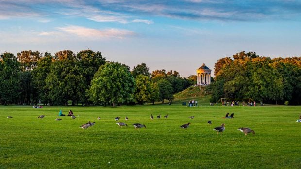 Jardín inglés de Múnich.