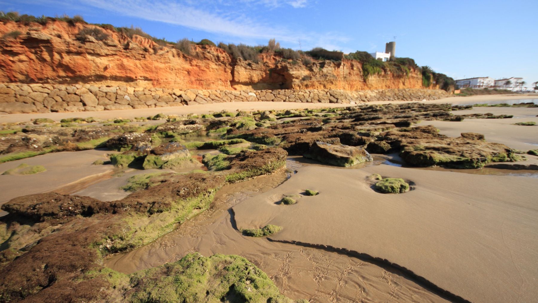 La ciencia española celebra un nuevo logro: investigadores en Cádiz regeneran playas usando un 60% menos de arena