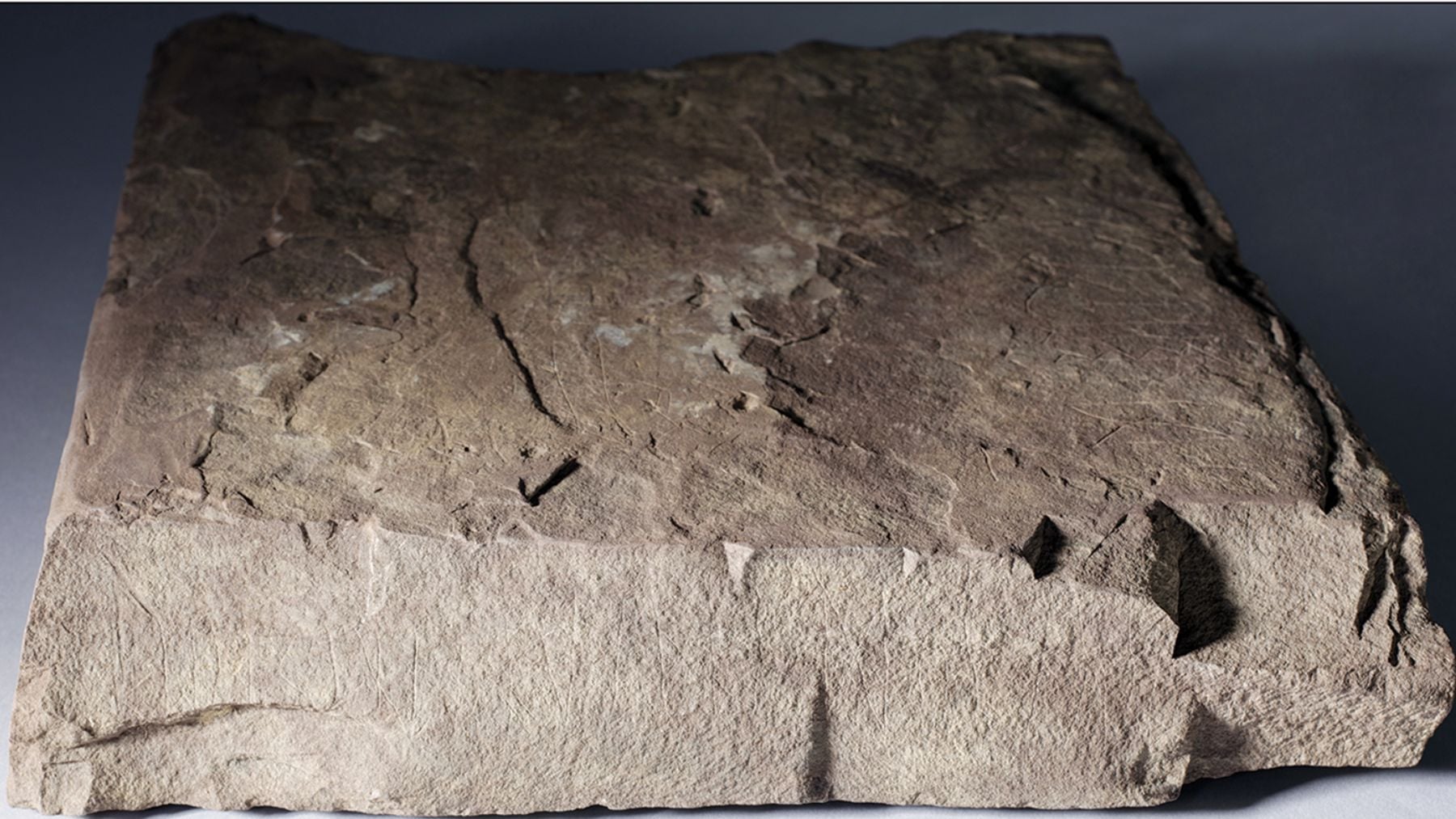 Los arqueólogos, emocionados: hallan las 8 runas en piedra más antiguas de Noruega y pueden tener 2.100 años