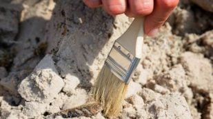 yacimiento 1,9 millones