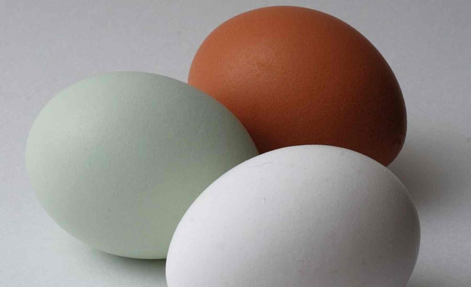 El error que muchos cometen al guardar los huevos en casa: elimina su capa protectora y es peligroso