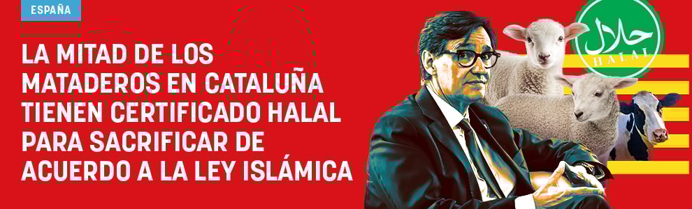 La mitad de los mataderos en Cataluña tienen certificado halal para sacrificar de acuerdo a la ley islámica