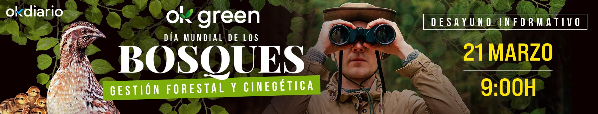 Día Mundial de los Bosques: gestión forestal y cinegética en OKDIARIO