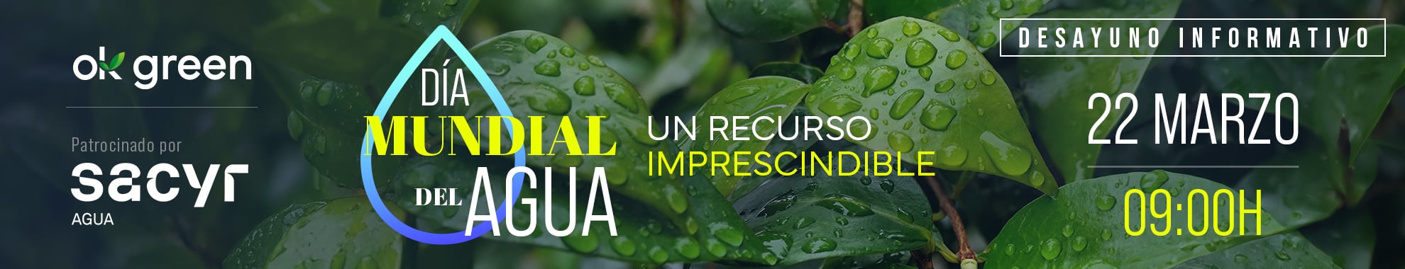 Día Mundial del Agua: un recurso imprescindible a debate en OKDIARIO