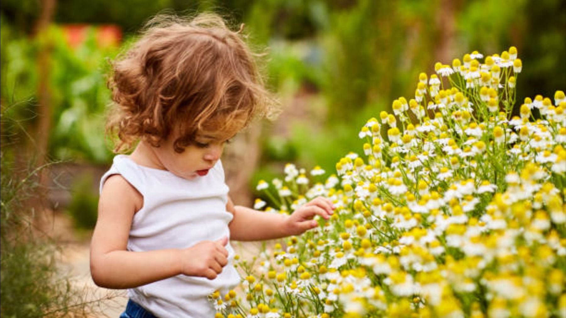 El nombre de niña de 5 letras que se está popularizando en España: de origen galés y significa perla