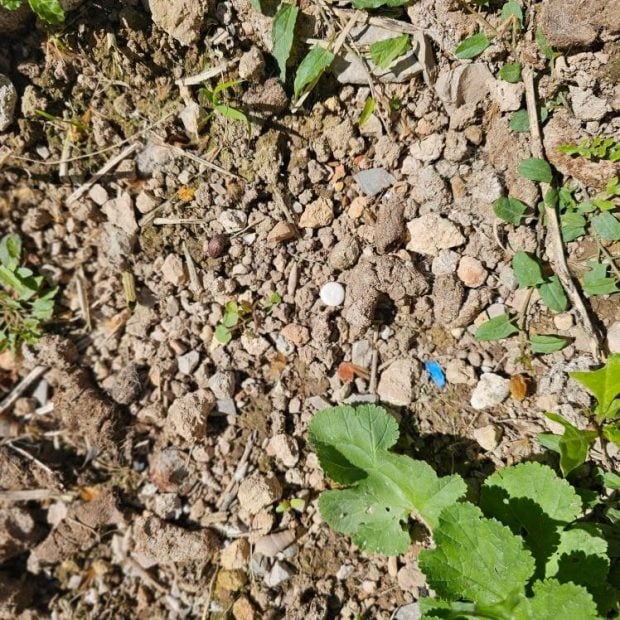 matrimonio boda fot&oacute;grafo Mallorca