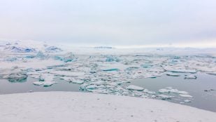 hielo ártico