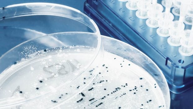 laboratorio plásticos