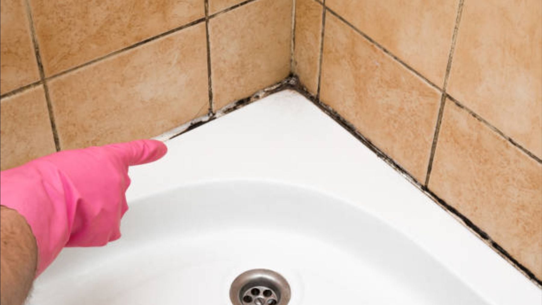 El truco de los expertos para acabar con el moho de la silicona de la ducha en segundos y sin frotar