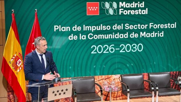 plan-de-impulso-forestal-Carlos-Novillo