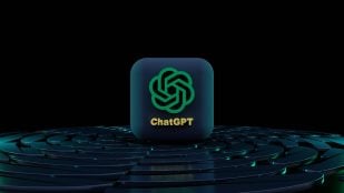 Meta AI en WhatsApp Business