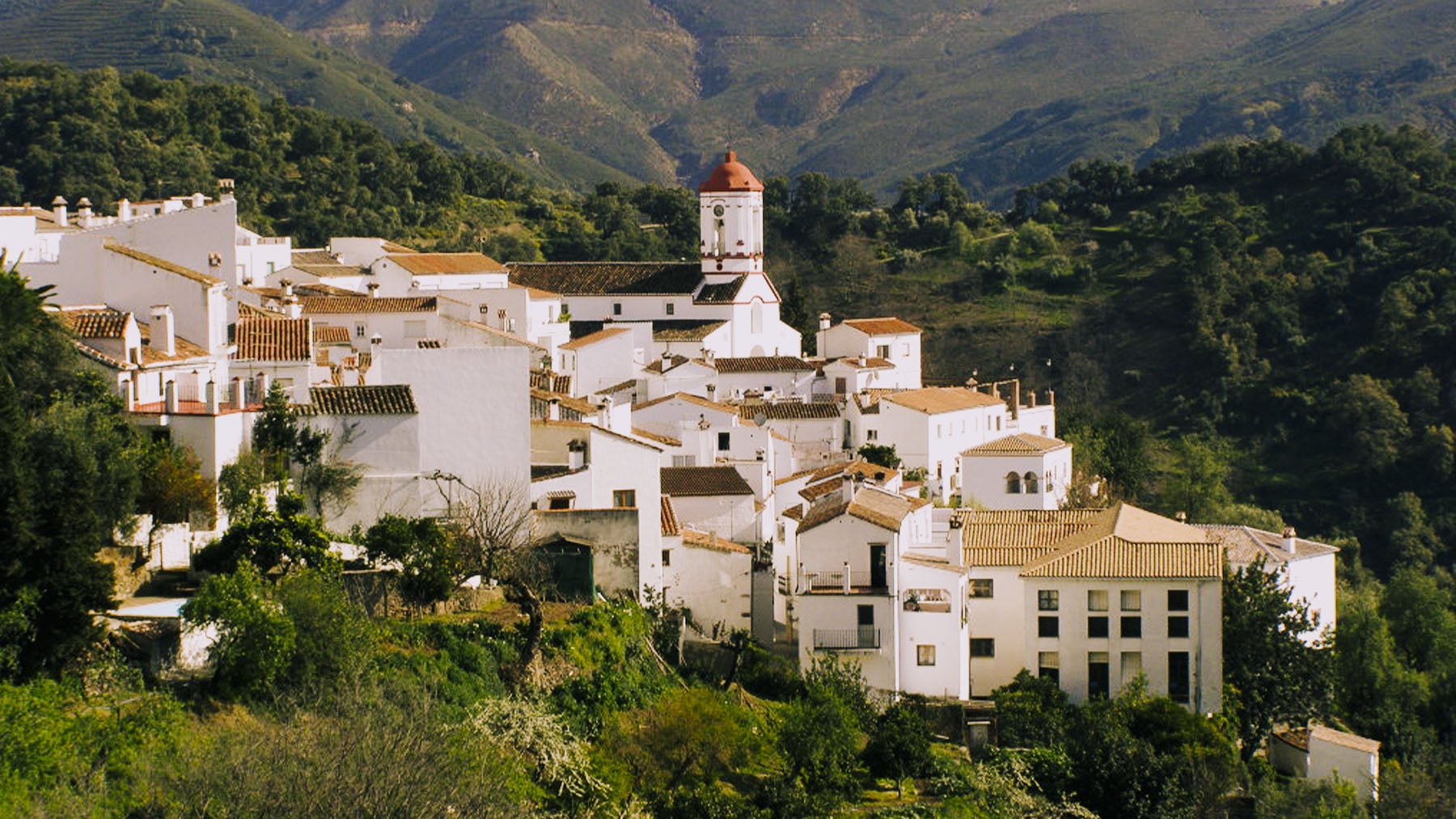 Vista panorámica de Genalguacil. Foto: teclasorg en Wikimedia Commons.
