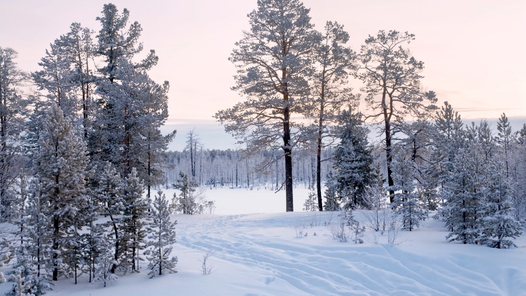 Hallazgo inaudito que reescribe la historia: el deshielo en Siberia saca a la luz un objeto con 2.300 años que lo cambia todo