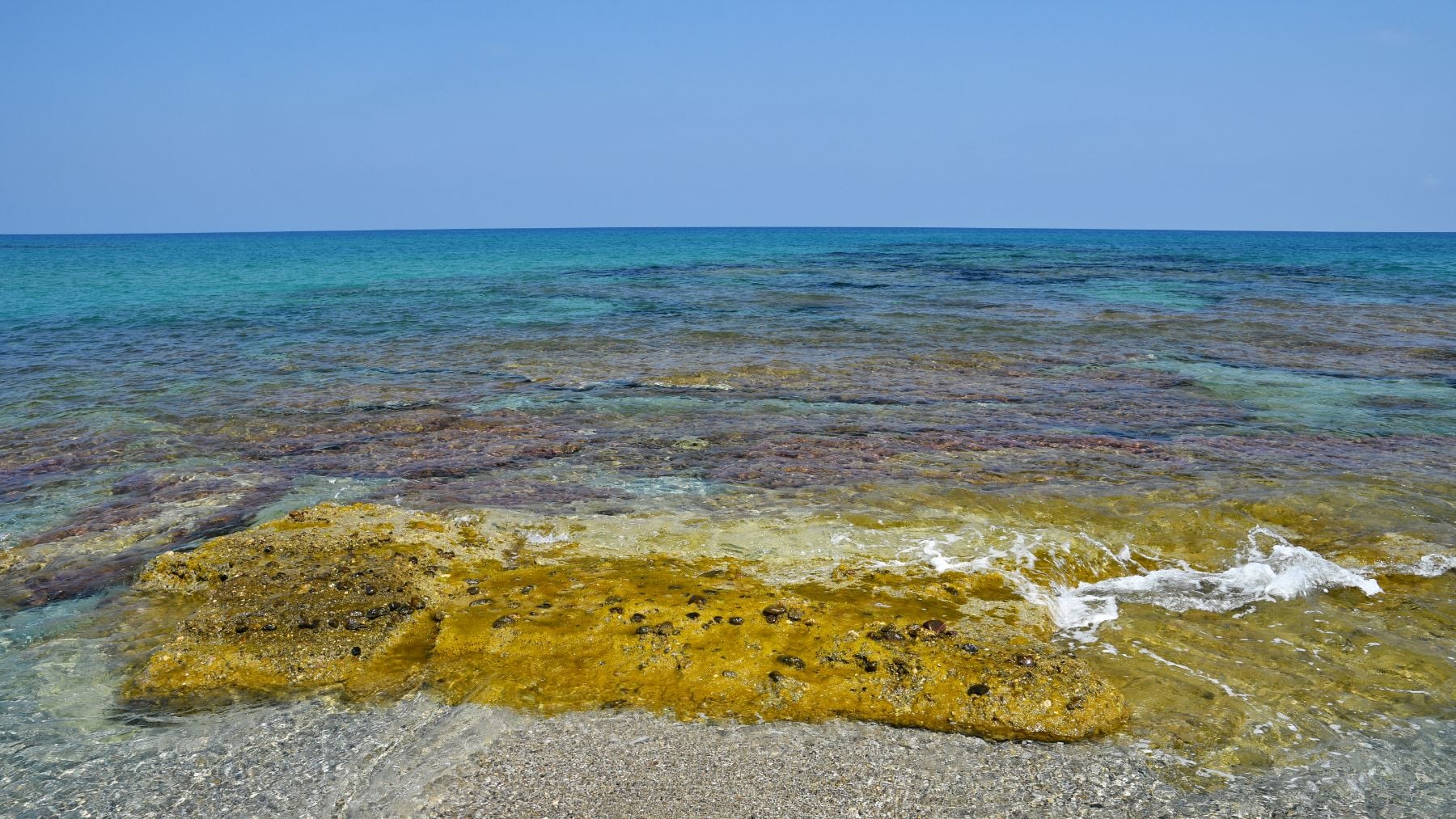 Casi nadie lo sabe pero hay un mar en el planeta que no toca tierra firme y tiene un bosque flotante