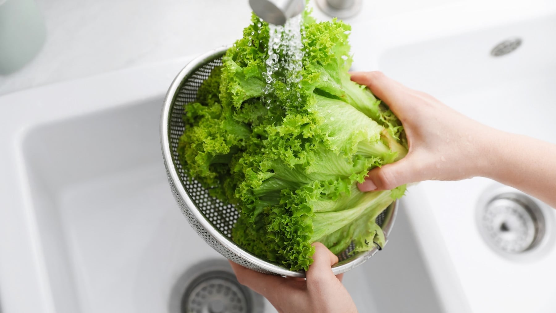 Ni bolsa hermética ni papel film: el sencillo truco casero para que la lechuga siga crujiente después de varios días
