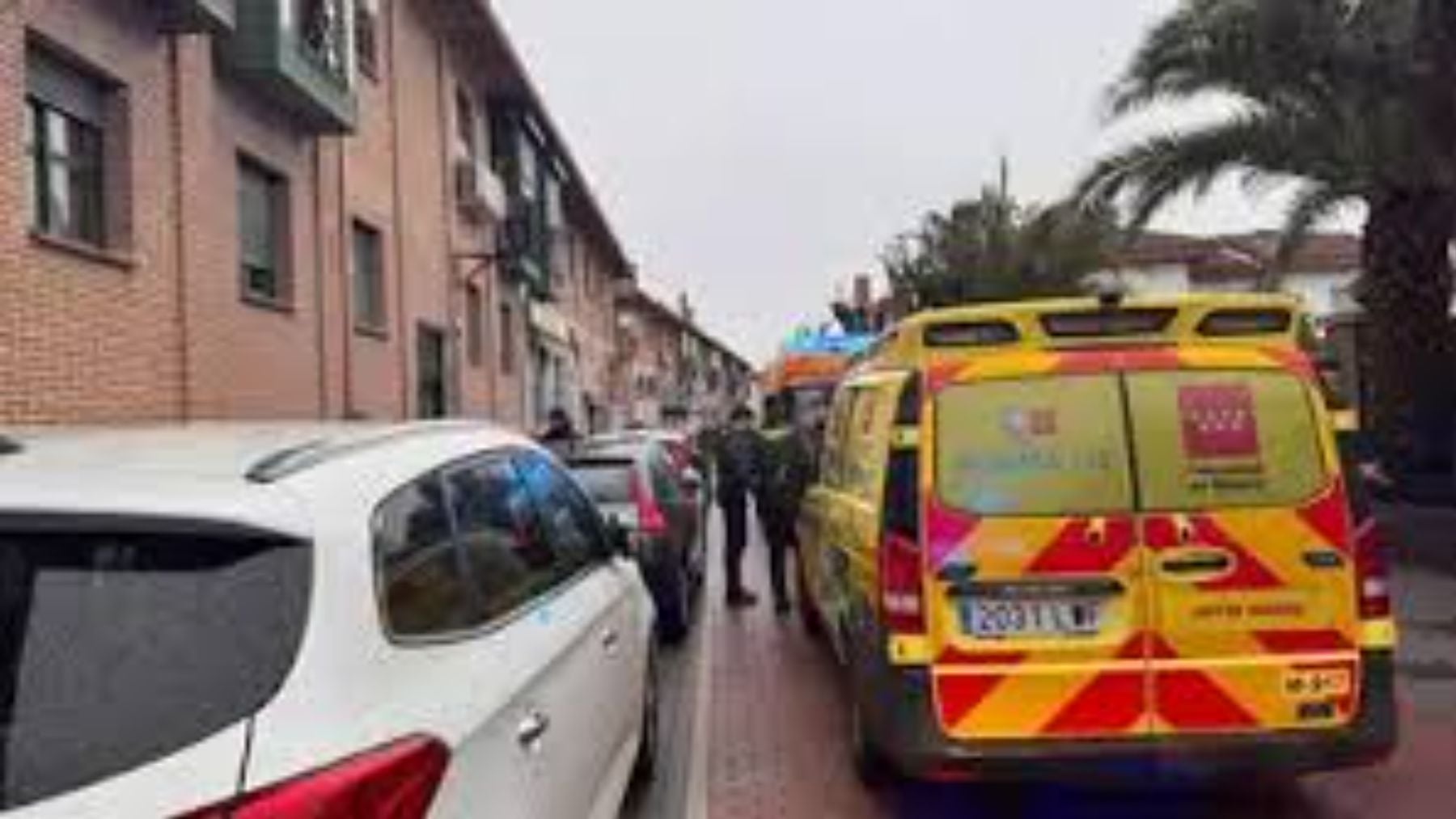 El marido de la mujer marroquí quemada en Sevilla la Nueva, detenido por contratar a 2 sicarios para matarla