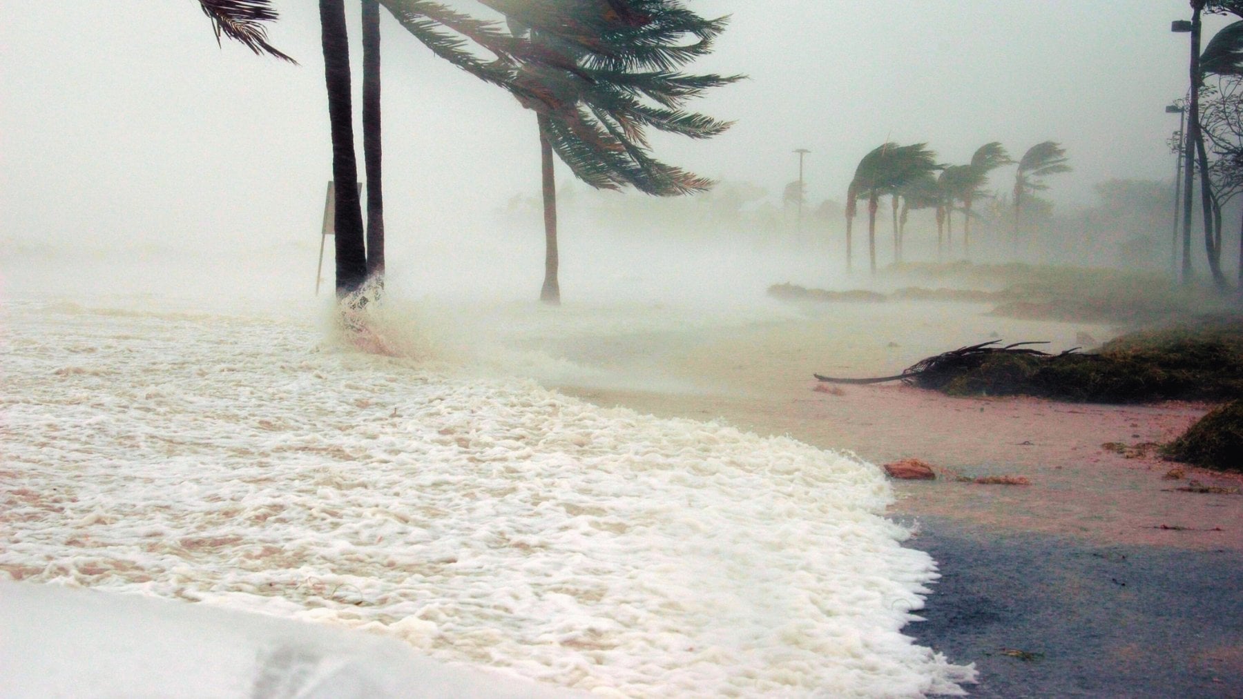 El fenómeno que preocupa a la ciencia y que puede cambiar todo este 2026: no estamos preparados