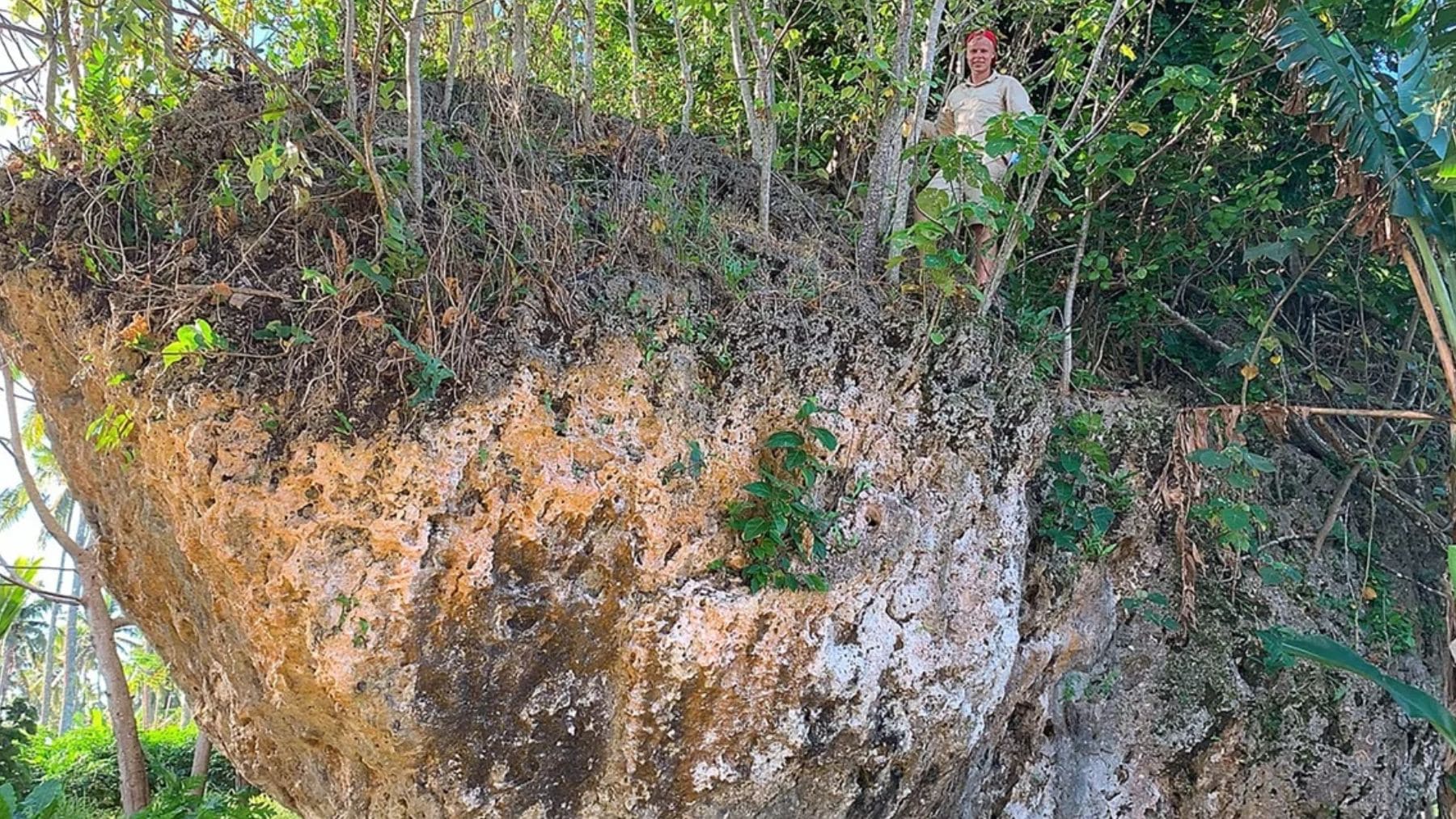 Encuentran una roca de 1.200 toneladas en la selva, y descubren que la culpa fue de un tsunami de 50 metros