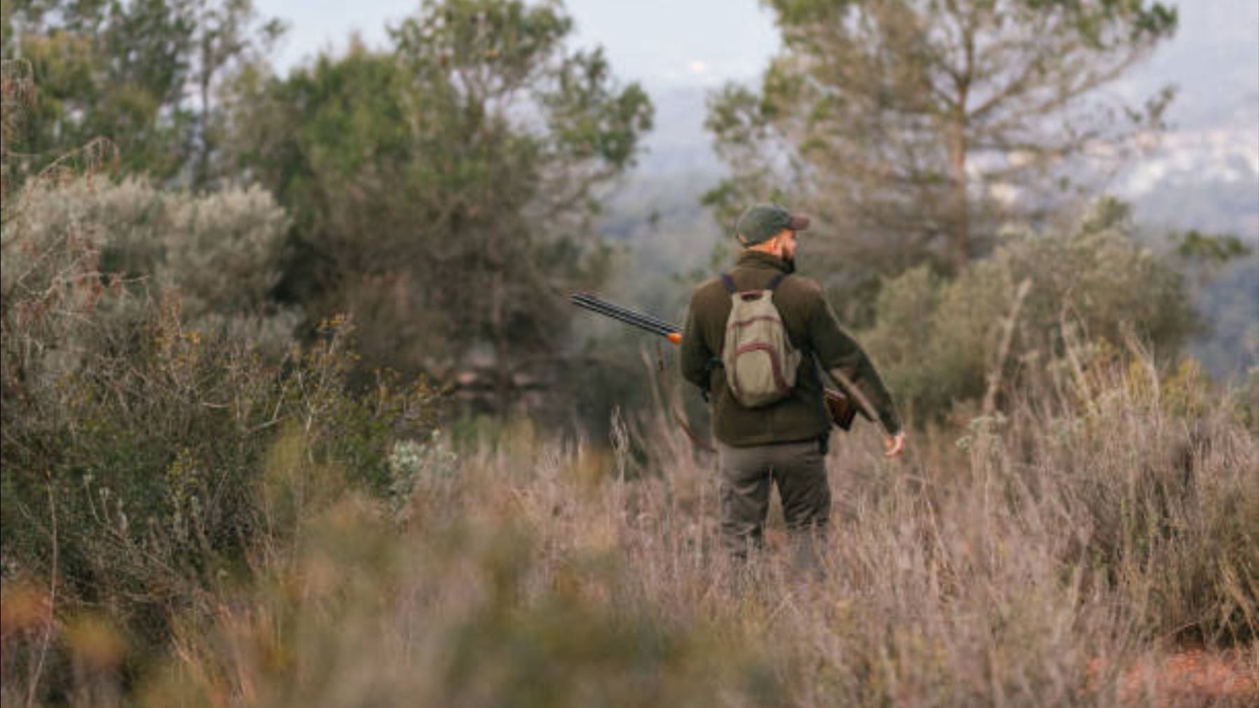 Giro en la caza y pesca en la Comunidad de Madrid: la nueva ley para controlar las especies del ecosistema en 2026