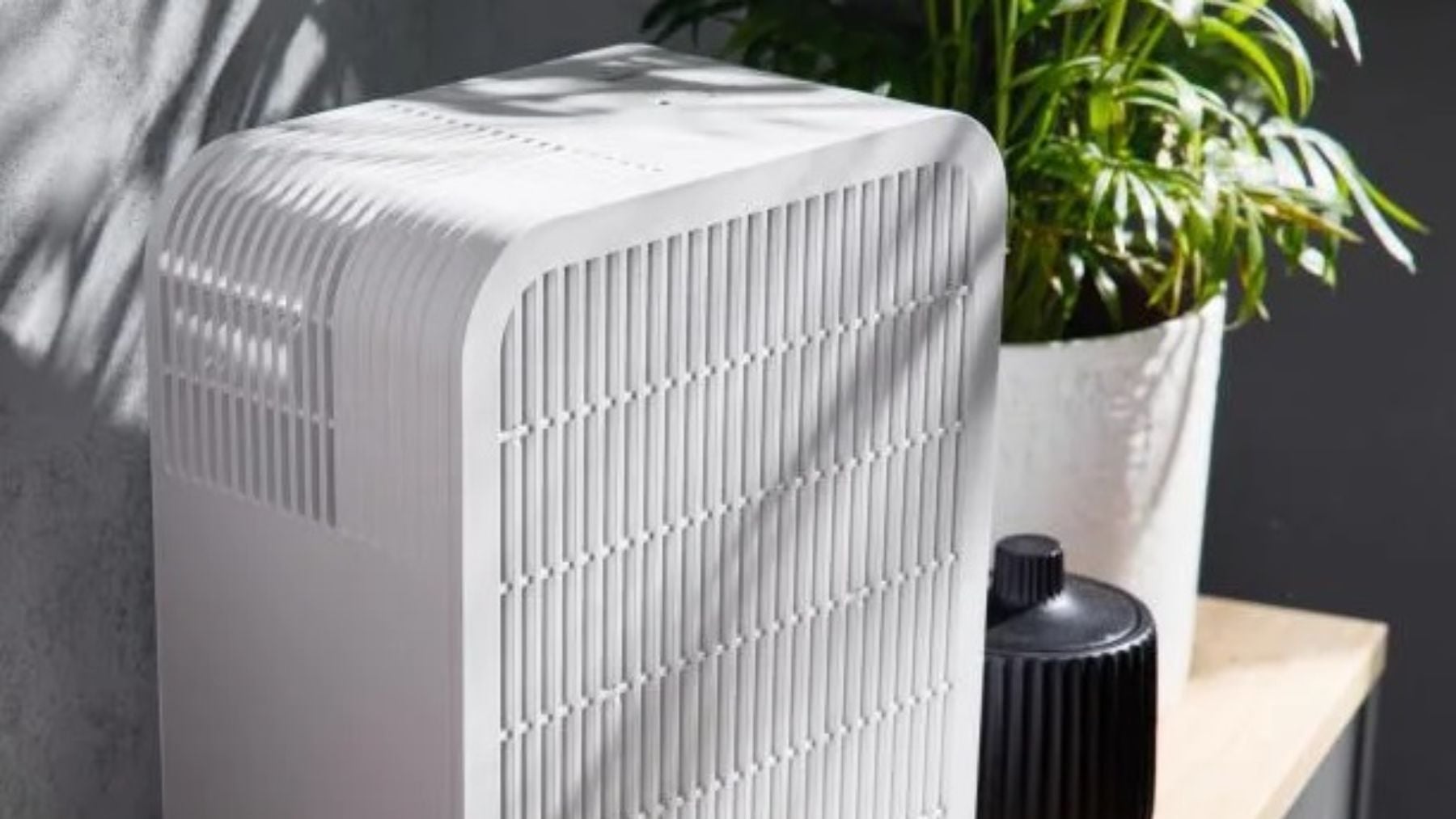 Adiós a la alergia: el aparato de Lidl que parece de Dyson, tirado de precio que todos están buscando esta primavera