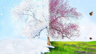 Estaciones en la Tierra