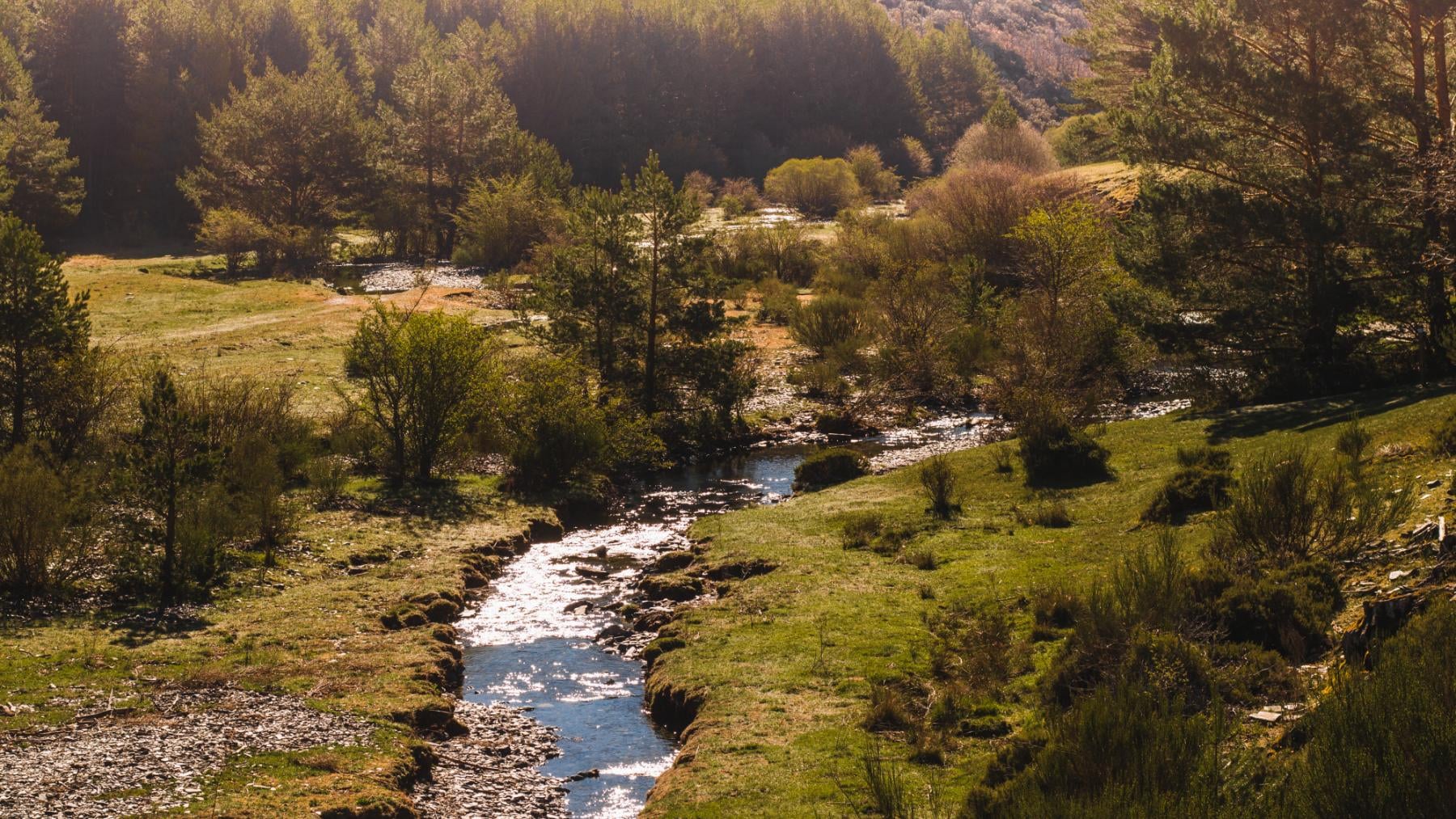 Casi nadie lo sabe pero España tiene su propio