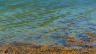 subterráneo España