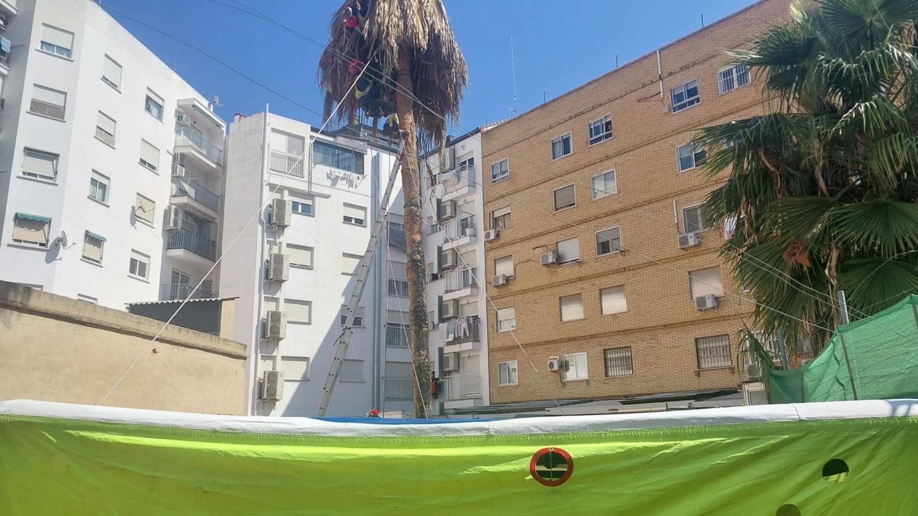 Un operario resulta atrapado mientras podaba una palmera de gran altura en Valencia