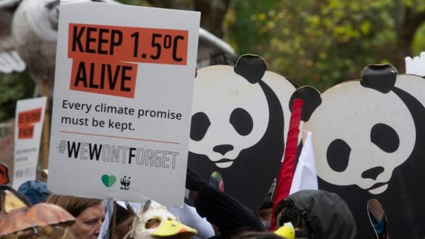 Las manifestaciones ciudadanas impulsaron la aprobaci&oacute;n del Acuerdo de Par&iacute;s, uno de los logros destacados por WWF. (Foto: cortes&iacute;a de WWF).
