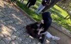 pelea niños menores Mallorca alumnos Inca acosador