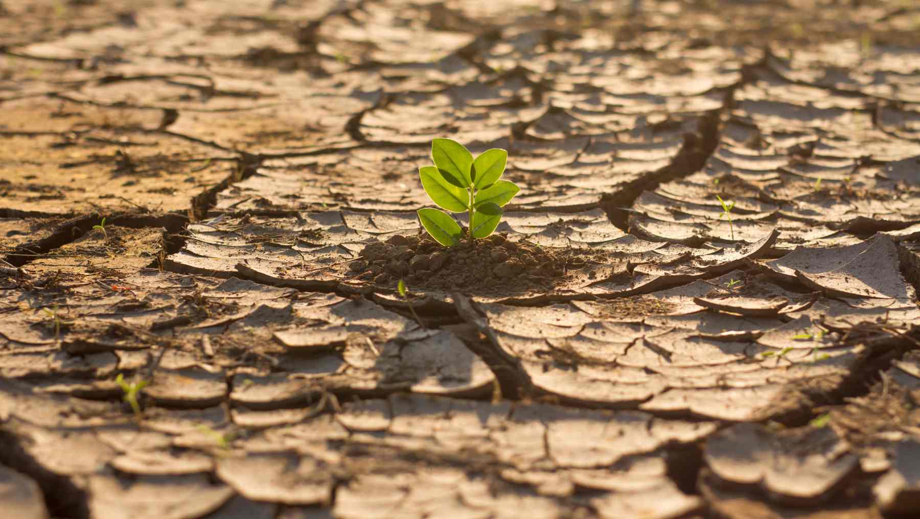 El descubrimiento climático que preocupa a los científicos