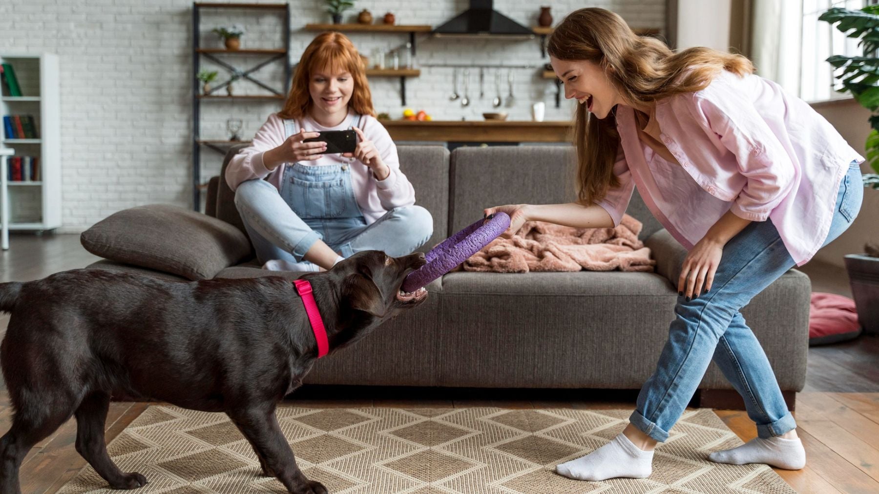 Consejo de oro de expertos a los dueños de perros: si llueve, lo mejor es hacer una búsqueda del tesoro en casa