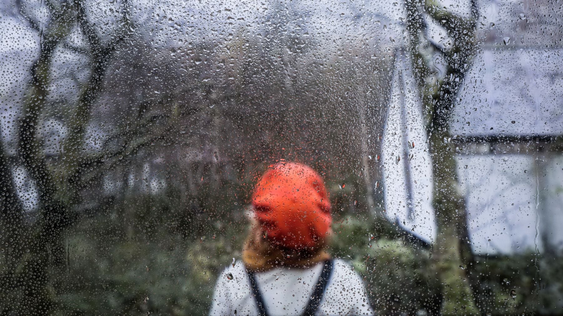 La AEMET lo confirma: viento, lluvias, bajas temperaturas y heladas en la Comunidad Valenciana