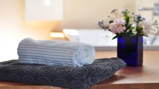 Por qué toballa es correcto en español, toballa en la RAE, toballa no es una errata, toballa forma antigua de toalla en la RAE, toalla o toballa en español, por qué no debes usar toballa aunque aparezca en el dicionario.