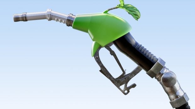 biocombustibles-europa-manguera