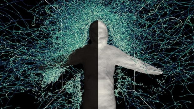 Cebo humano mosquitos