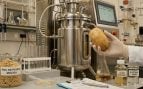 Investigadores gallegos analizan en el laboratorio el potencial de la piel de patata para su transformación en biocombustibles y productos químicos sostenibles. (Representación)