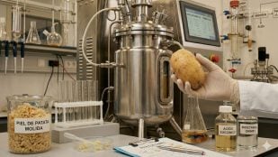 Investigadores gallegos analizan en el laboratorio el potencial de la piel de patata para su transformación en biocombustibles y productos químicos sostenibles. (Representación)