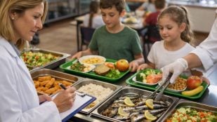 Menús escolares, niños, comida, nutrición, pescado