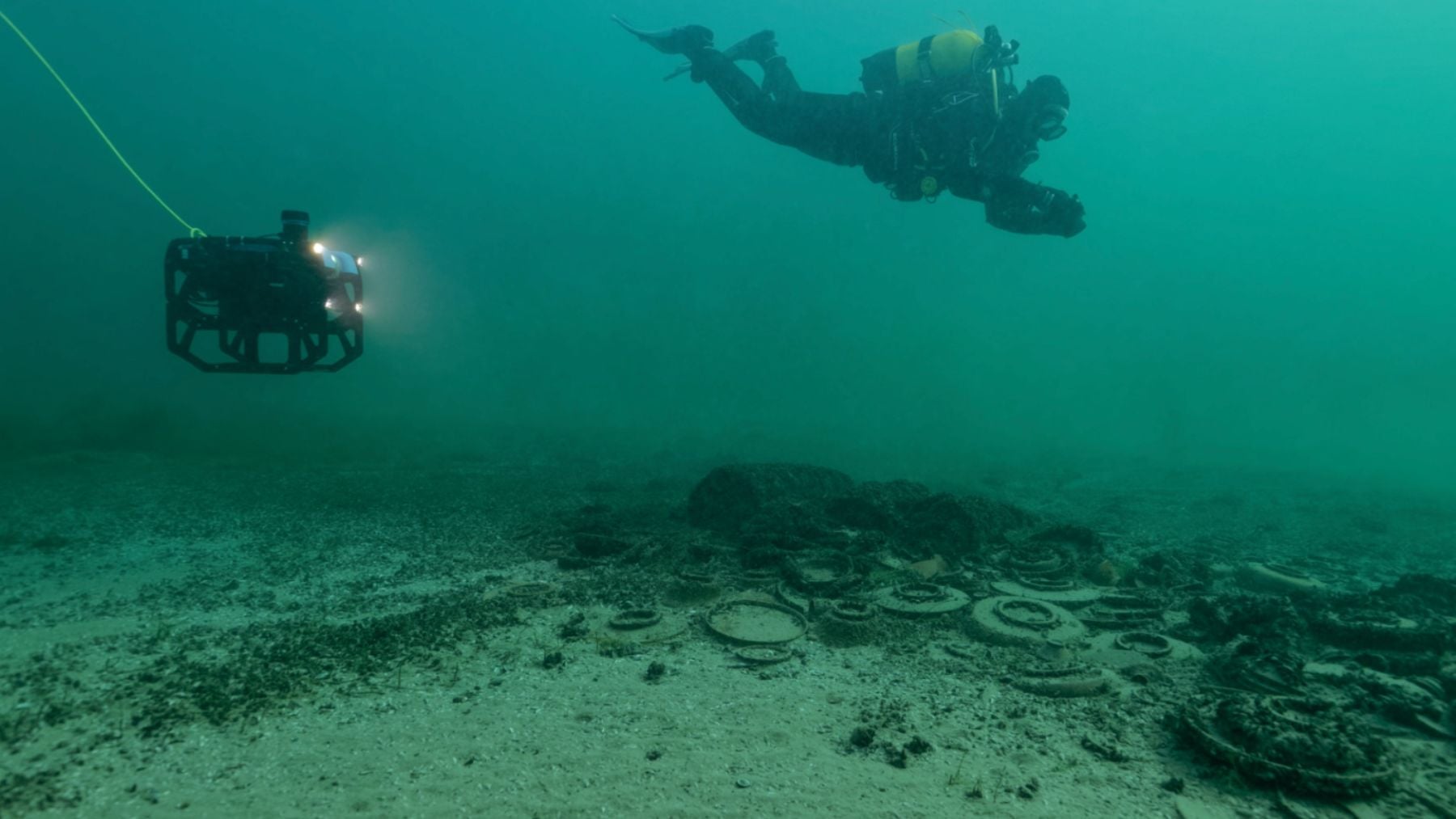 Una imagen de la investigación. (Foto: Fundación Optopus)