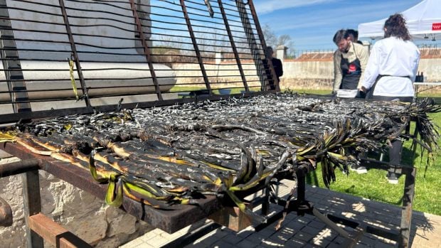 calçotada madrid calçots