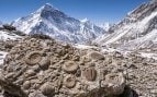 Fósiles marinos en el Everest. (Representación)