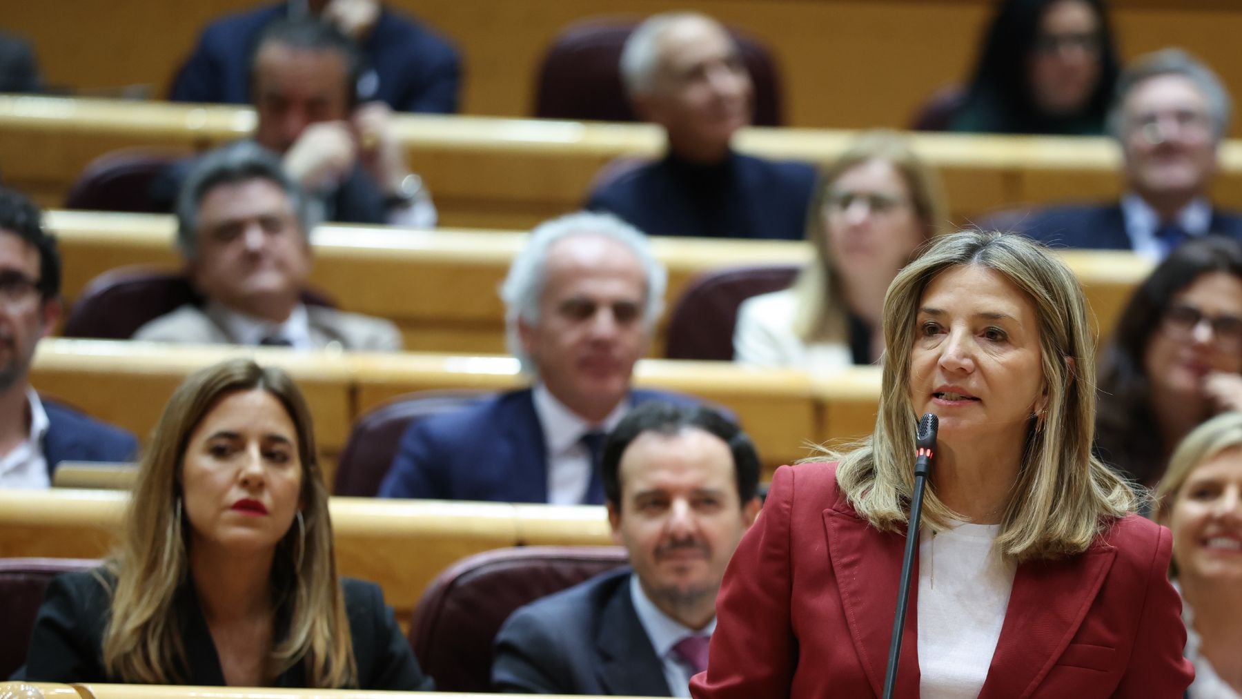 La portavoz del PP en el Senado, Alicia García. (Europa Press)