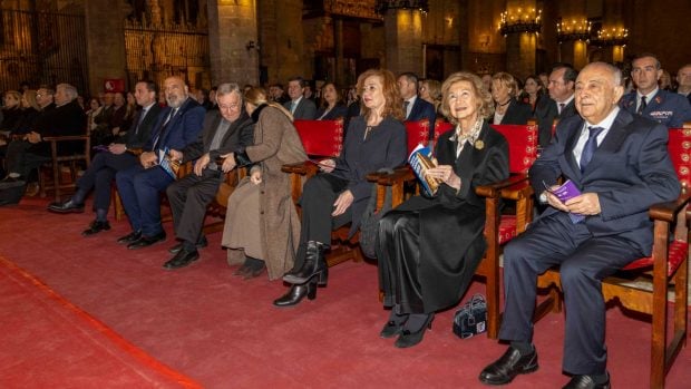 reina sof&iacute;a proyecto hombre