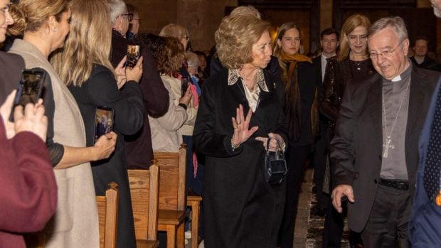 reina sof&iacute;a proyecto hombre